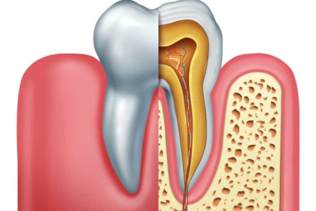 Root Canal Therapy in Magnolia